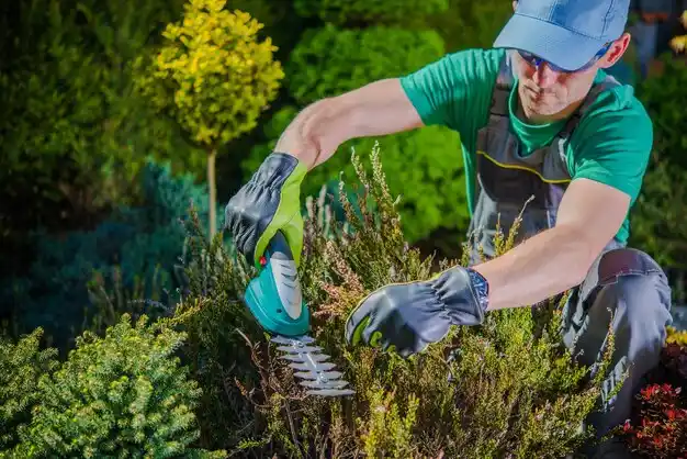 landscaping services Beattyville